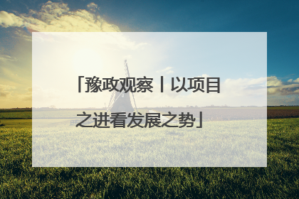 豫政观察丨以项目之进看发展之势