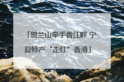 贺兰山牵手香江畔 宁夏特产“走红”香港