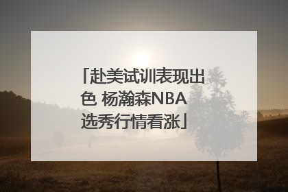 赴美试训表现出色 杨瀚森NBA选秀行情看涨