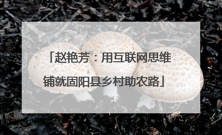 赵艳芳：用互联网思维铺就固阳县乡村助农路