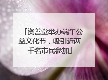 资善堂举办端午公益文化节，吸引近两千名市民参加
