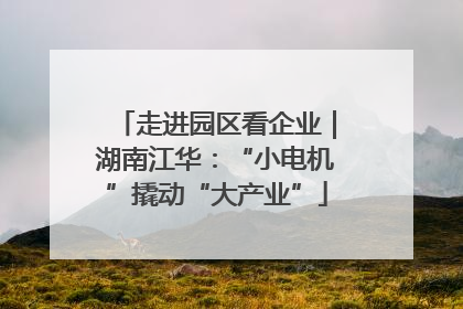 走进园区看企业｜湖南江华：“小电机”撬动“大产业”