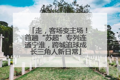 走，客场变主场！首趟“苏超”专列连通宁淮，跨城追球成长三角人新日常