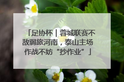 足协杯｜蓉城联赛不敌弱旅河南，泰山主场作战不妨“抄作业”