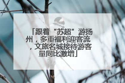 跟着“苏超”游扬州，多重福利迎客流，文旅名城接待游客量同比激增