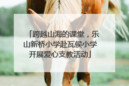 跨越山海的课堂，乐山新桥小学赴瓦侯小学开展爱心支教活动