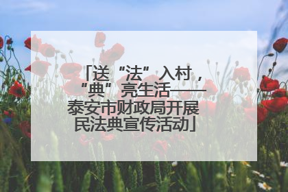 送“法”入村，“典”亮生活——泰安市财政局开展民法典宣传活动