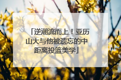 逆潮流而上！亚历山大与他被遗忘的中距离投篮美学