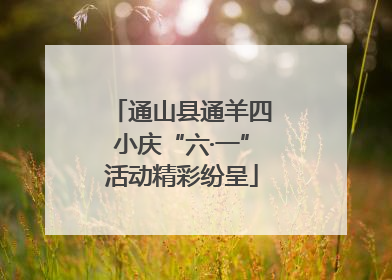 通山县通羊四小庆“六·一”活动精彩纷呈