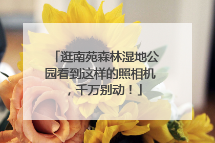 逛南苑森林湿地公园看到这样的照相机，千万别动！