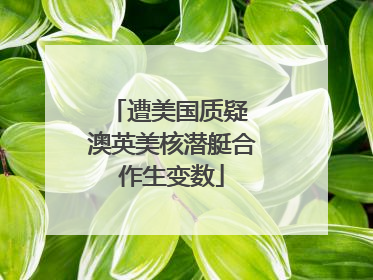 遭美国质疑 澳英美核潜艇合作生变数