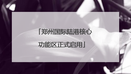 郑州国际陆港核心功能区正式启用