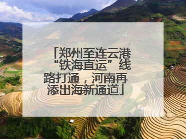 郑州至连云港“铁海直运”线路打通，河南再添出海新通道
