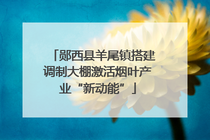 郧西县羊尾镇搭建调制大棚激活烟叶产业“新动能”