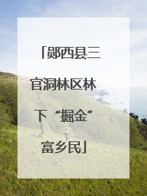 郧西县三官洞林区林下“掘金”富乡民