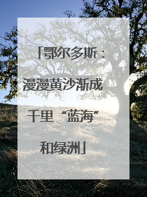 鄂尔多斯：漫漫黄沙渐成千里“蓝海”和绿洲