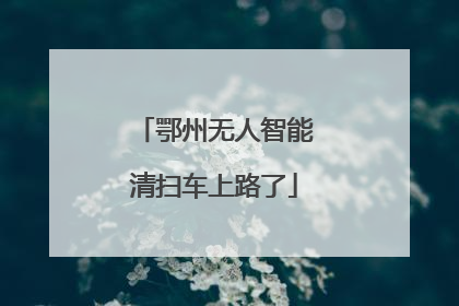 鄂州无人智能清扫车上路了