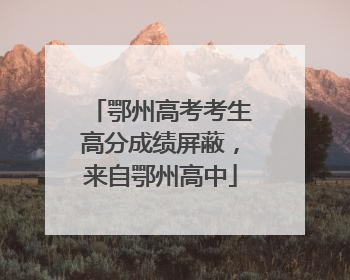 鄂州高考考生高分成绩屏蔽，来自鄂州高中