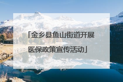 金乡县鱼山街道开展医保政策宣传活动