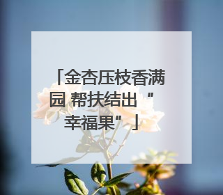 金杏压枝香满园 帮扶结出“幸福果”