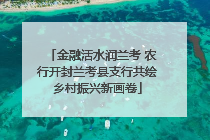 金融活水润兰考 农行开封兰考县支行共绘乡村振兴新画卷