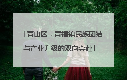 青山区：青福镇民族团结与产业升级的双向奔赴