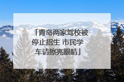 青岛两家驾校被停止招生 市民学车请擦亮眼睛