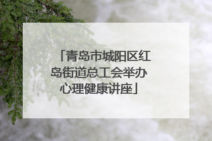 青岛市城阳区红岛街道总工会举办心理健康讲座