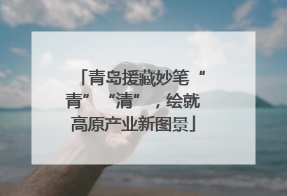青岛援藏妙笔“青”“清”，绘就高原产业新图景
