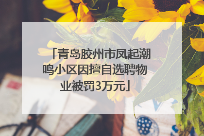 青岛胶州市凤起潮鸣小区因擅自选聘物业被罚3万元