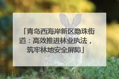 青岛西海岸新区隐珠街道：高效推进林业执法，筑牢林地安全屏障