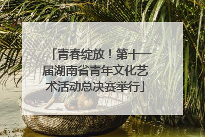 青春绽放！第十一届湖南省青年文化艺术活动总决赛举行