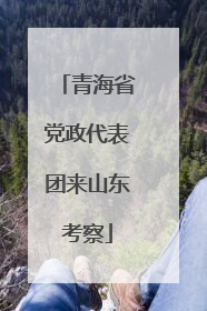 青海省党政代表团来山东考察