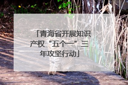 青海省开展知识产权“五个一”三年攻坚行动