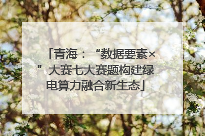 青海：“数据要素×”大赛七大赛题构建绿电算力融合新生态