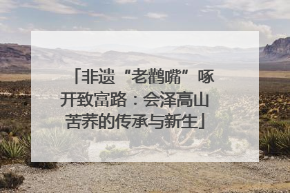 非遗“老鹳嘴”啄开致富路：会泽高山苦荞的传承与新生
