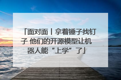 面对面丨拿着锤子找钉子 他们的开源模型让机器人能“上学”了