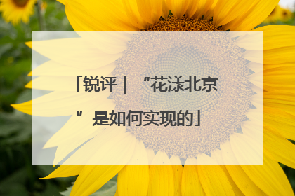 锐评｜“花漾北京”是如何实现的