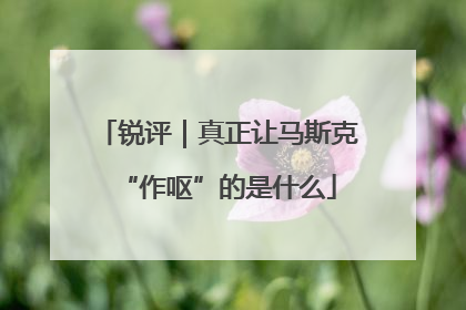 锐评｜真正让马斯克“作呕”的是什么
