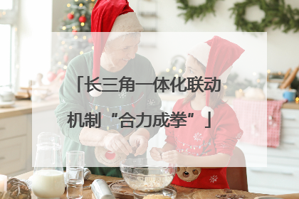 长三角一体化联动机制“合力成拳”