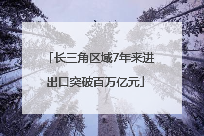 长三角区域7年来进出口突破百万亿元