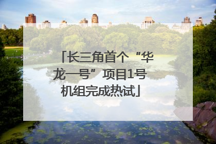 长三角首个“华龙一号”项目1号机组完成热试