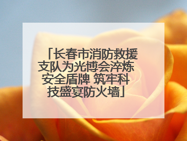 长春市消防救援支队为光博会淬炼安全盾牌 筑牢科技盛宴防火墙
