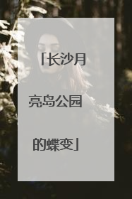 长沙月亮岛公园的蝶变