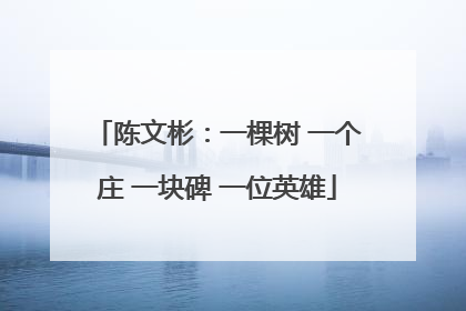 陈文彬：一棵树 一个庄 一块碑 一位英雄