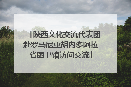 陕西文化交流代表团赴罗马尼亚胡内多阿拉省图书馆访问交流