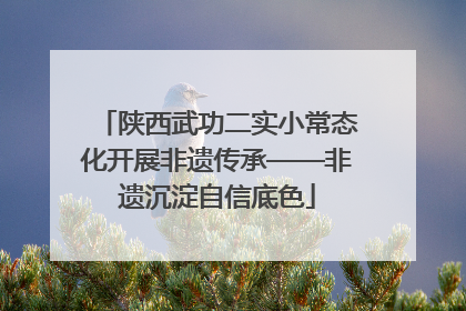 陕西武功二实小常态化开展非遗传承——非遗沉淀自信底色
