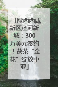 陕西西咸新区泾河新城：300万美元签约！茯茶“金花”绽放中亚