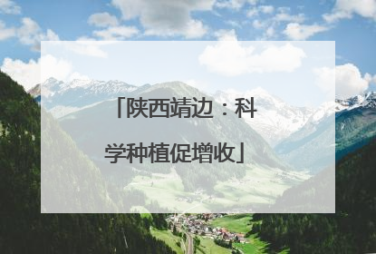 陕西靖边：科学种植促增收