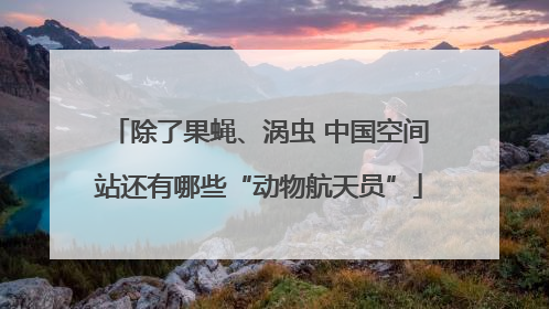 除了果蝇、涡虫 中国空间站还有哪些“动物航天员”
